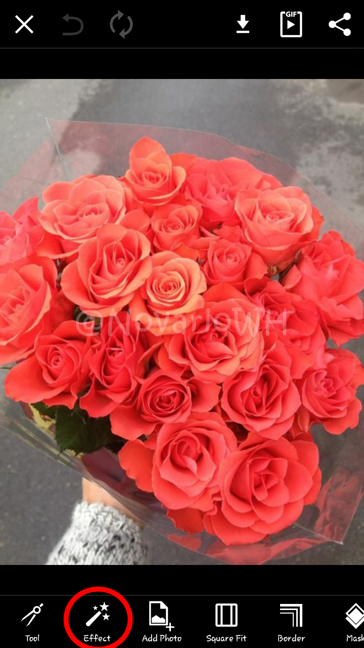 Scrapventure Mengedit Foto Menggunakan PicsArt Change Object's Color