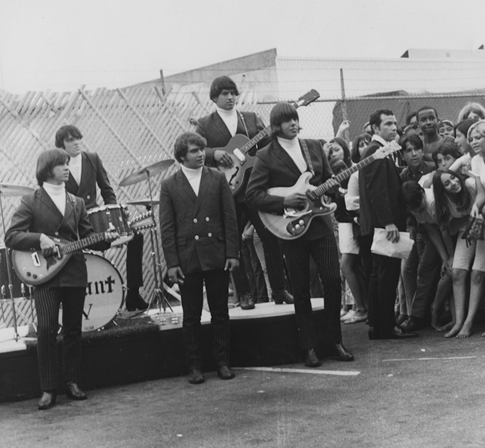 Forestdweller The Count Five