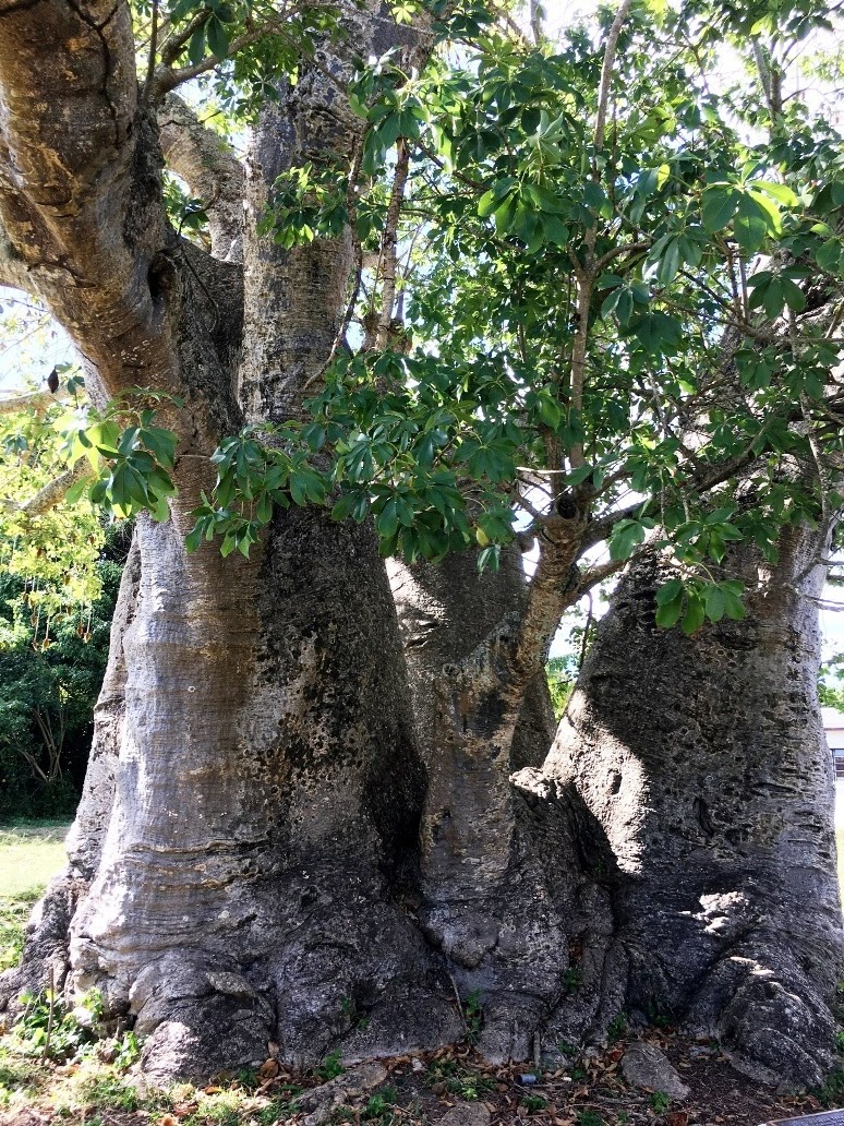 grove place st croix