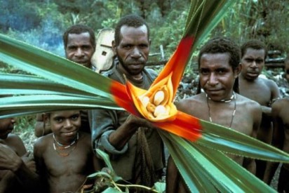Keajaiban Tanah Papua Kita! Inilah Buah Eksotis yang Hanya Bisa Dijumpai di Sana