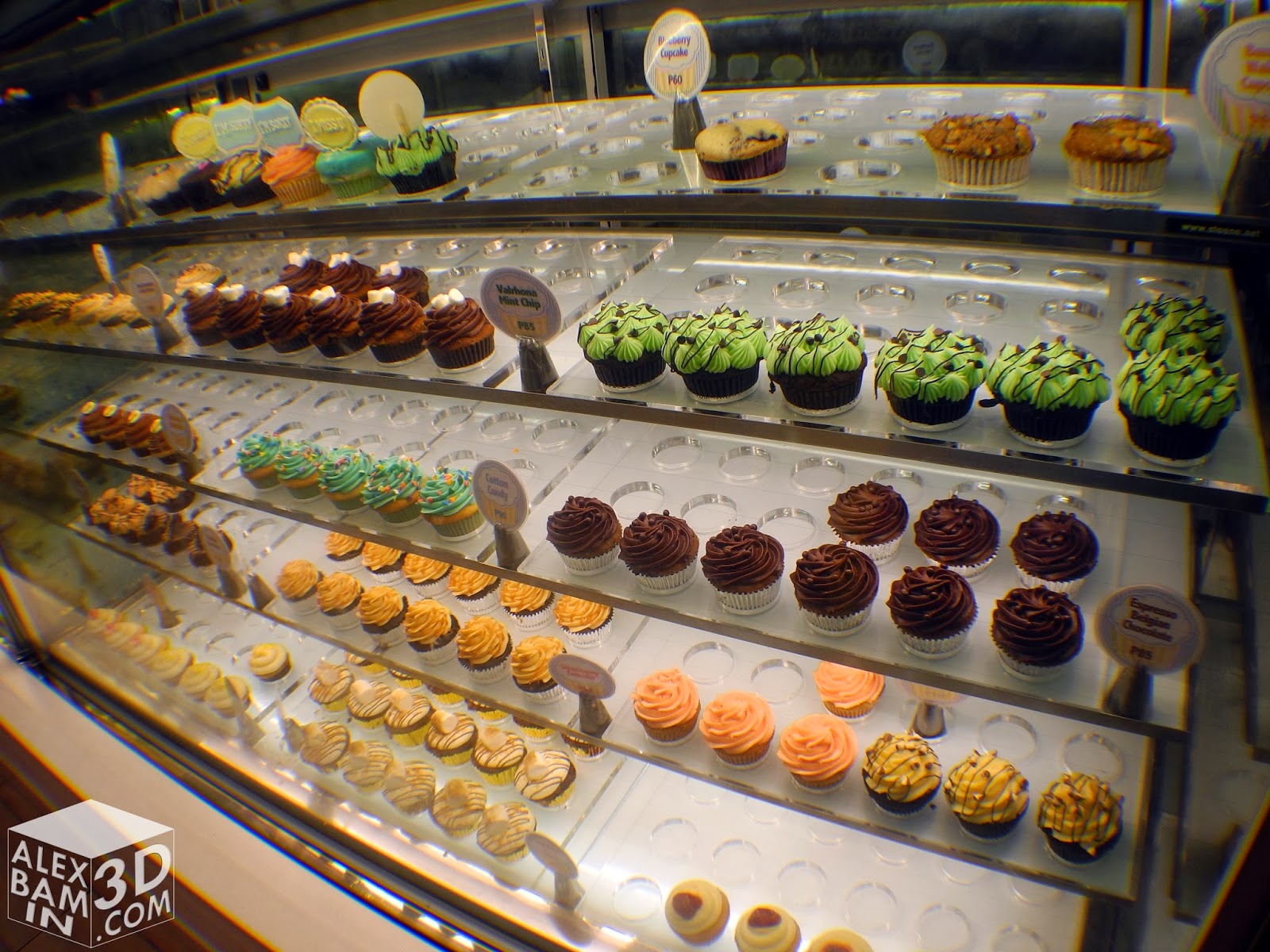 Vanilla Cupcake Bakery, More Than Just Pretty Cupcakes AlexBamin3D