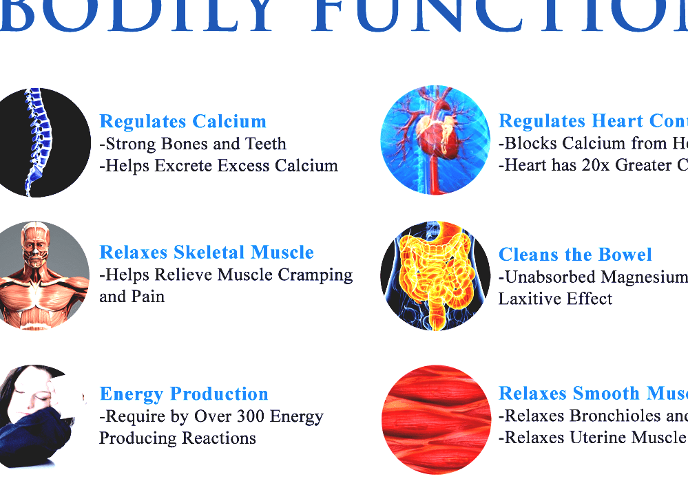 Magnesium In Biology Functions Of Magnesium In The Human Body