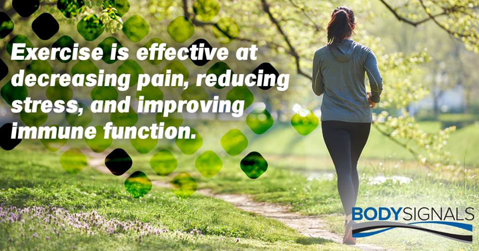 Doylestown Chiropractor Add Some Variety To Your Exercise Routine