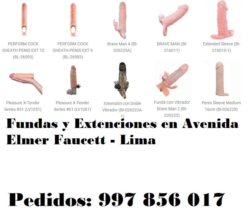 en Avenida Elmer Faucett - Lima