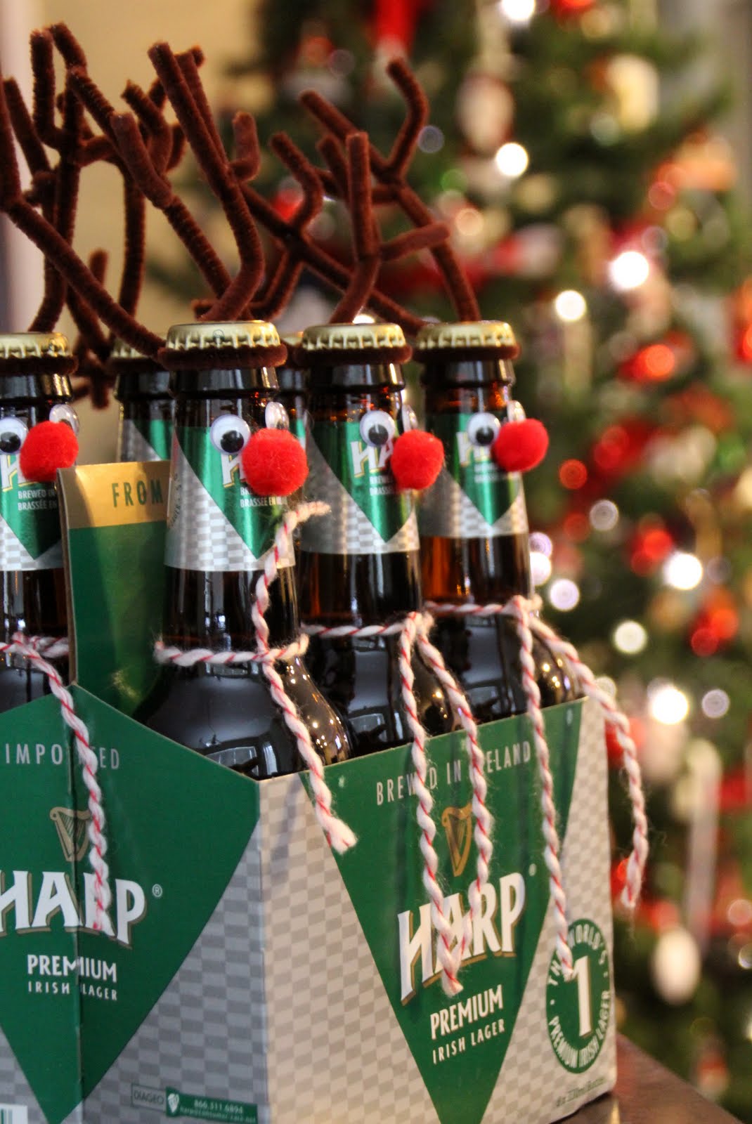 Imagination Station Reindeer beer gift for guys