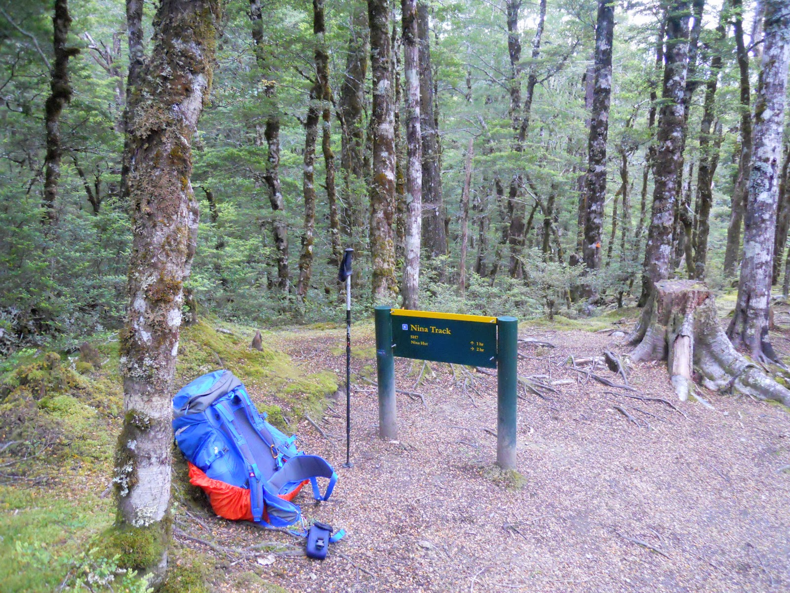 Tramping in the New Zealand backcountry NZ Bush Adventures My