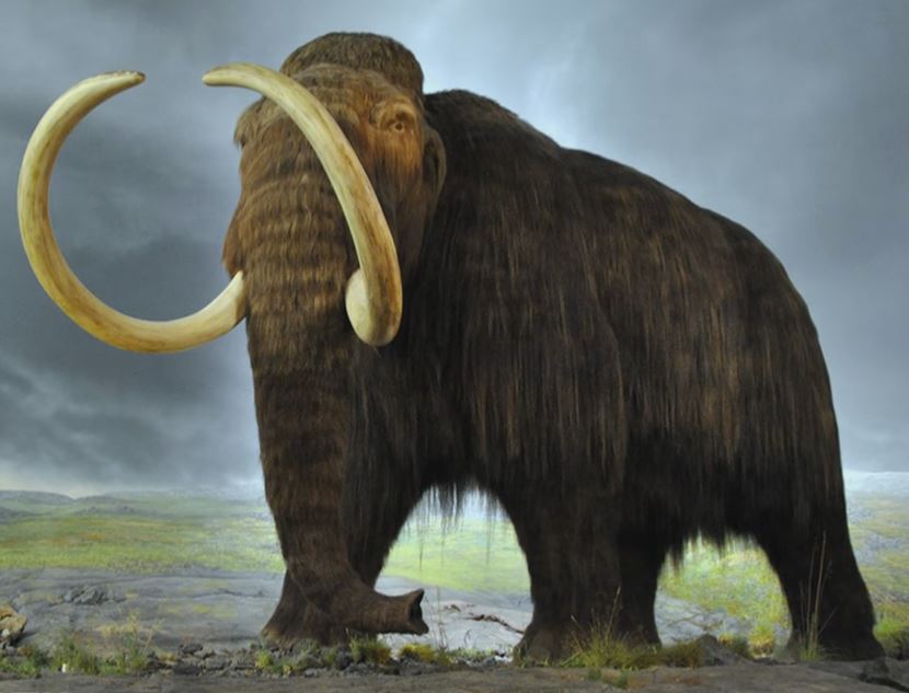 These Extinct Animals Might Actually Be Alive