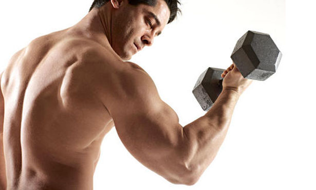 Hasil gambar untuk cara membesarkan otot lengan