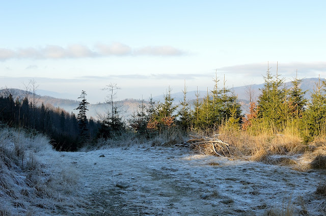 Looking for winter on Skrzyczne – beginning of the New Year up in the mountains DSC 0656