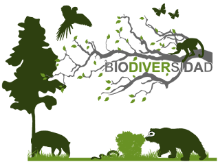 biodiversidad