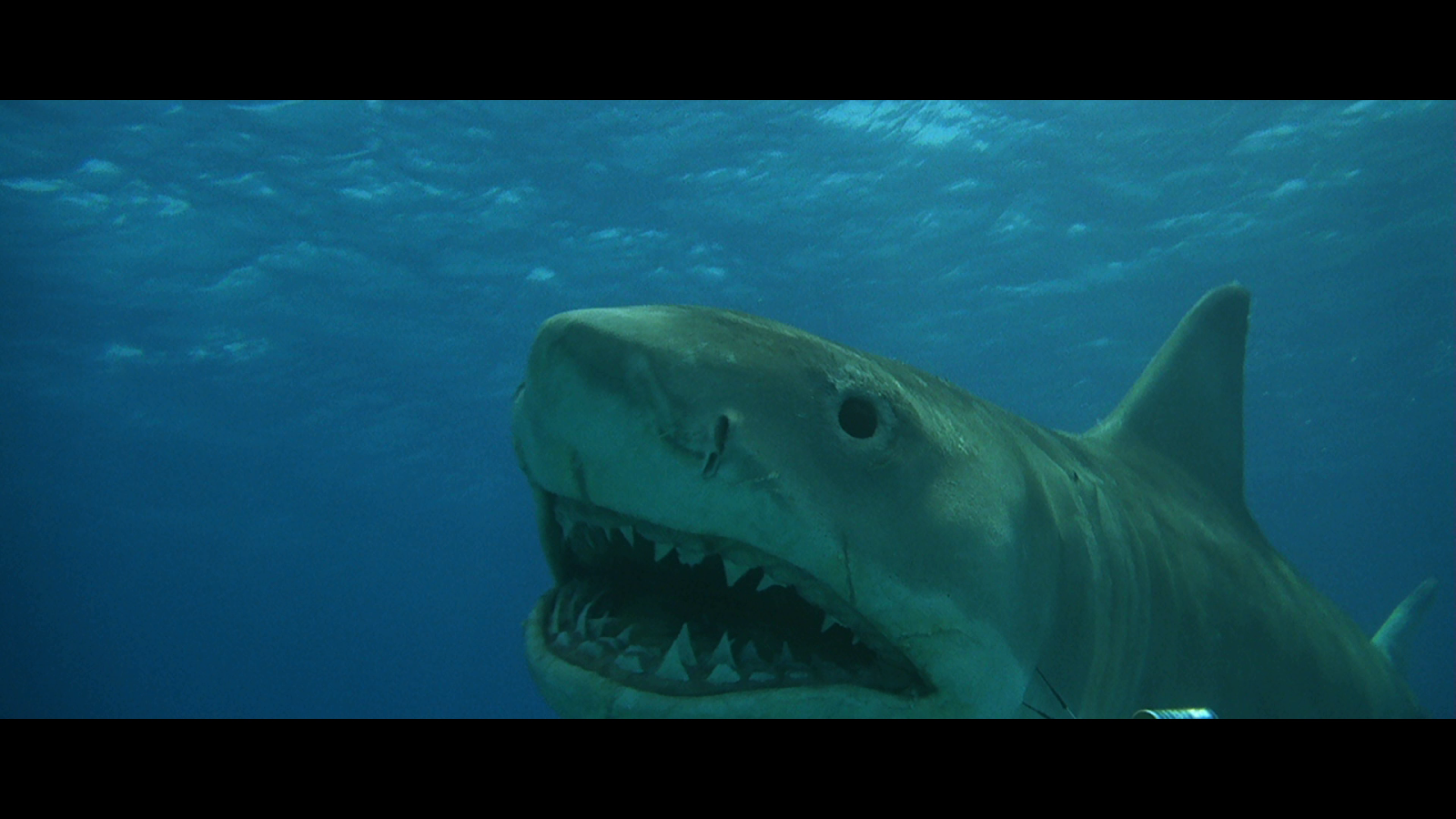 That background looks fake as fook.