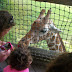 Binder Park Zoo Trip
