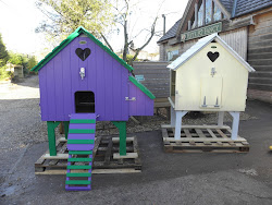 painted hen decorated chicken fancy houses coop flyte favourite coops