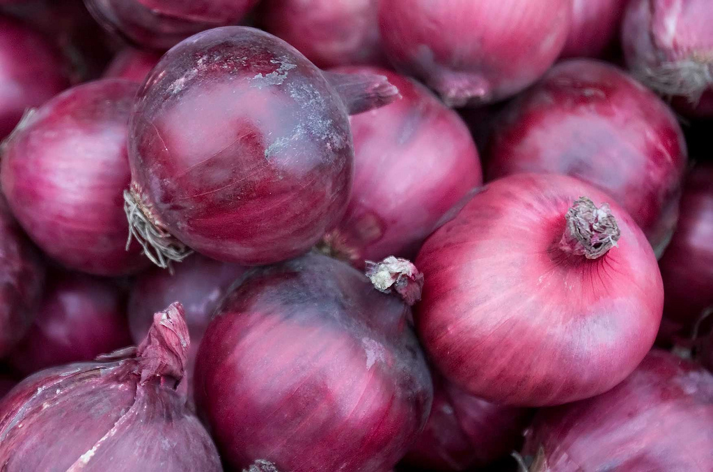 Self Health Guide The Healthiest Onion