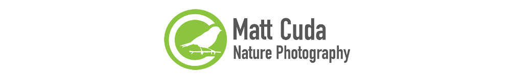 Matt Cuda Nature Photography Blog