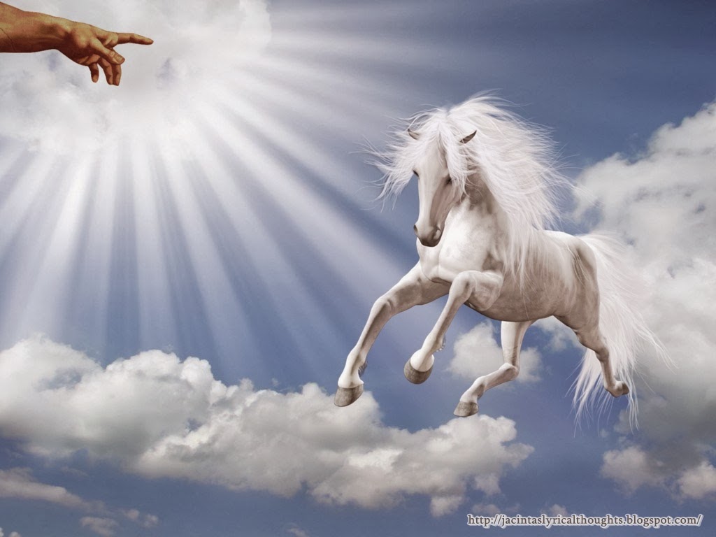 Хорс год. Бог конь. Бог белой лошади. Лошадь Господь. Бог на коне.