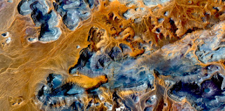 stone allegory algae desert,Stone plant fantasy,Abstract Naturalism,abstract photography deserts of Africa from the air,abstract surrealism,mirage in desert,fantasy forms,colors ,flowers,leave,roots stone allegory algae desert,Stone plant fantasy,Abstract Naturalism,abstract photography deserts of Africa from the air,abstract surrealism,mirage in desert,fantasy forms,colors ,flowers,leave,roots