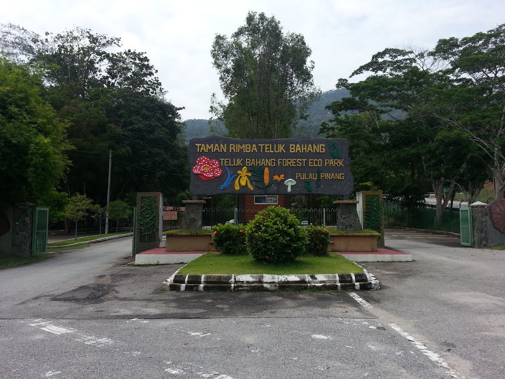 Tempat Menarik Di Penang Taman Rimba Teluk Bahang Belog Zai Zamree