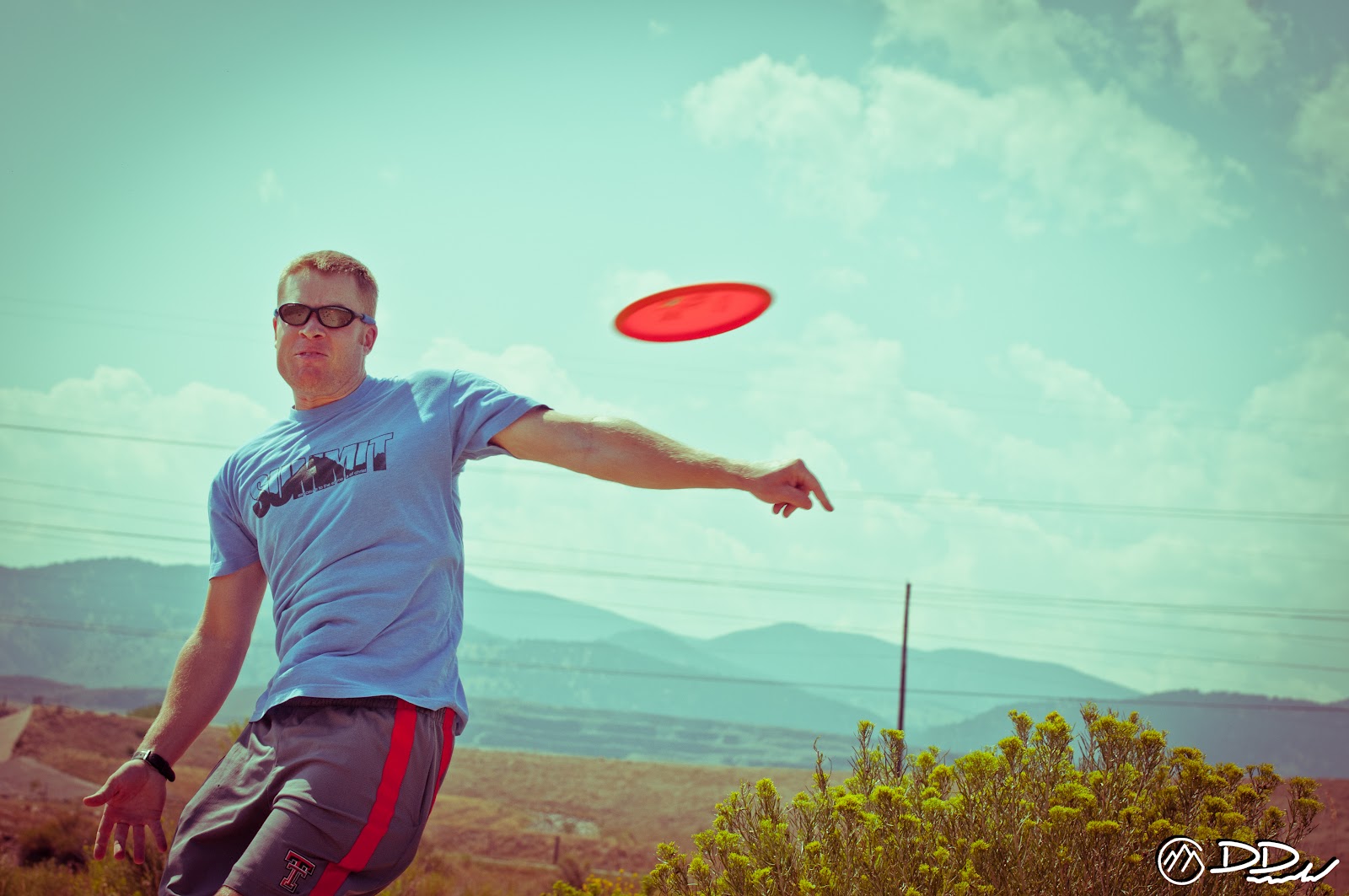 Birds Nest Disk Park