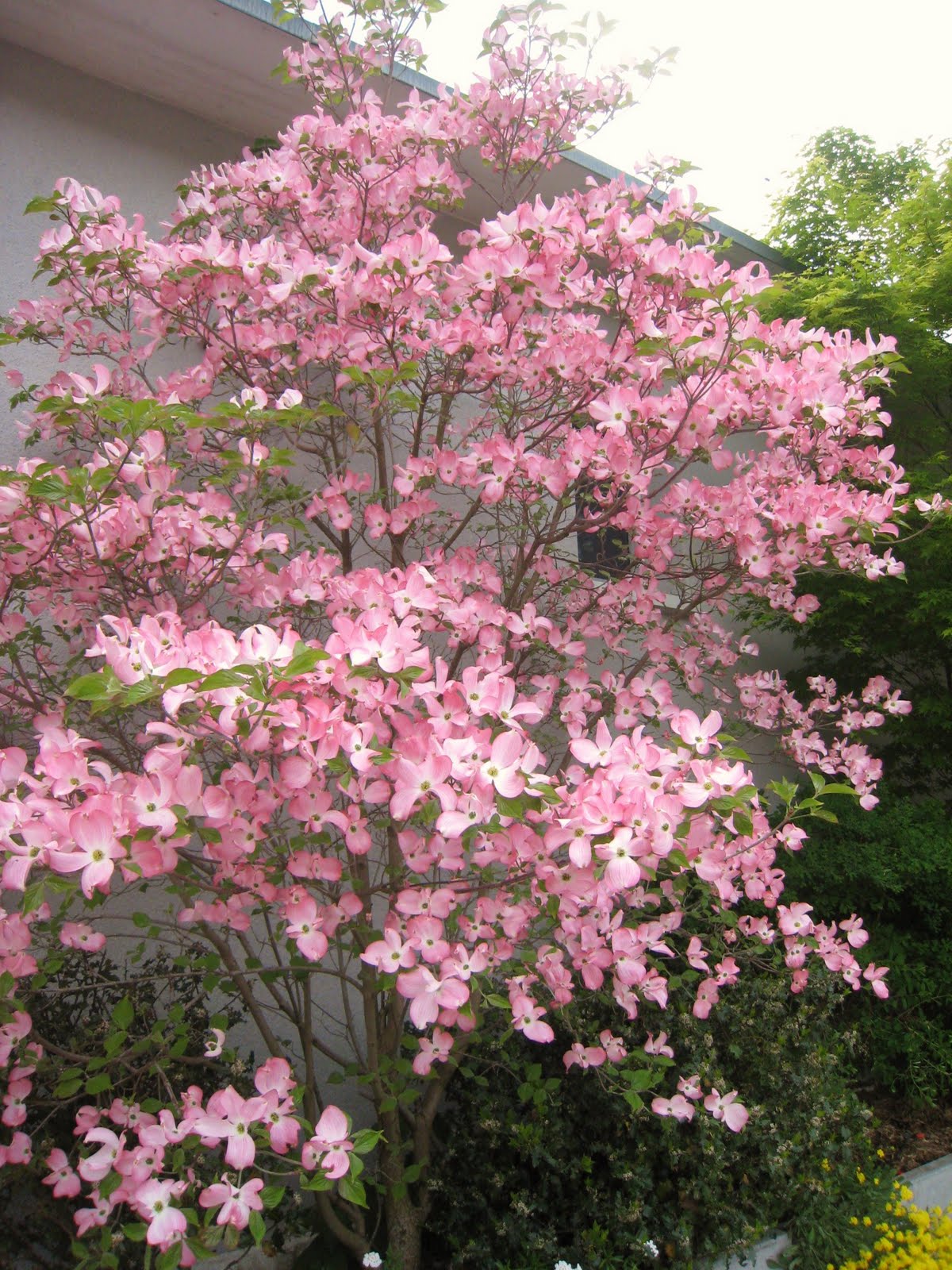 meine Welt Die Farbe 