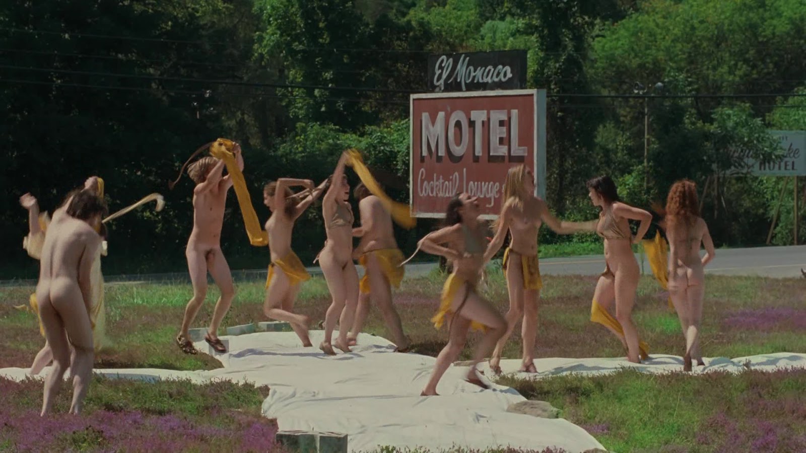 Zachary Booth and Emile Hirsch nude in Taking Woodstock.