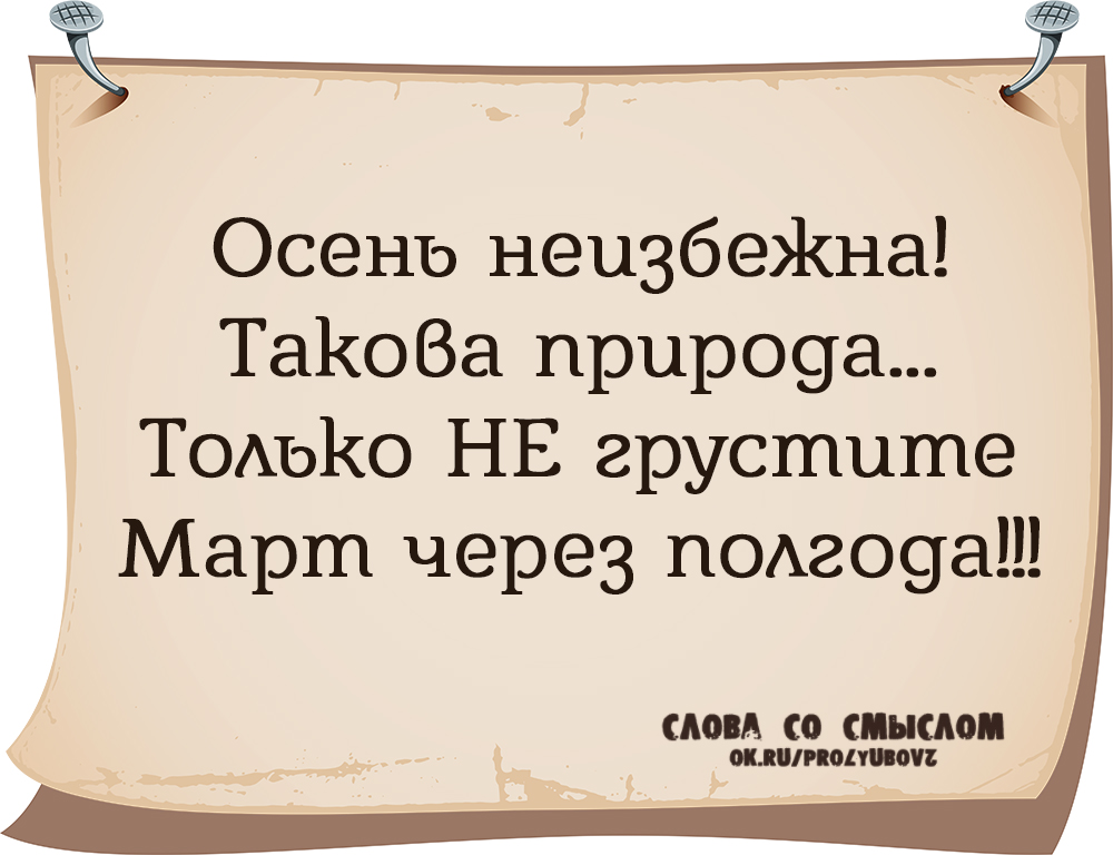 Шутки и приколы про отношения. Осень неизбежна. Осень неизбежна. Зачем мем кот. Сосед продал квартиру а через полгода женился на покупательнице.