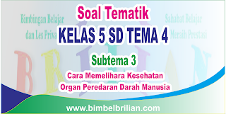 Download Soal Tematik Kelas 5 SD Tema 4 Subtema 3 Cara Memelihara Organ Peredaran Darah Manusia dan Kunci Jawaban