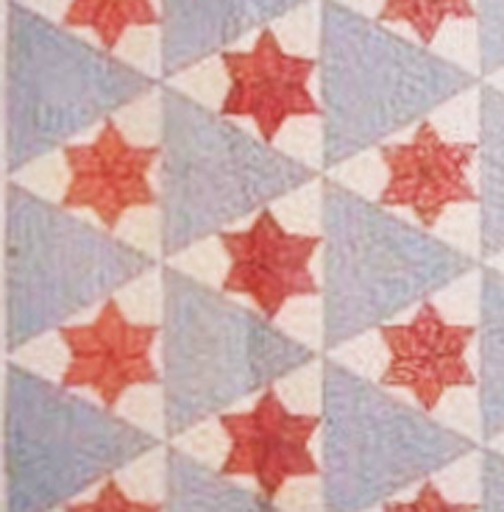 Barbara Brackman's MATERIAL CULTURE Temperance Quilts 2 Sons of