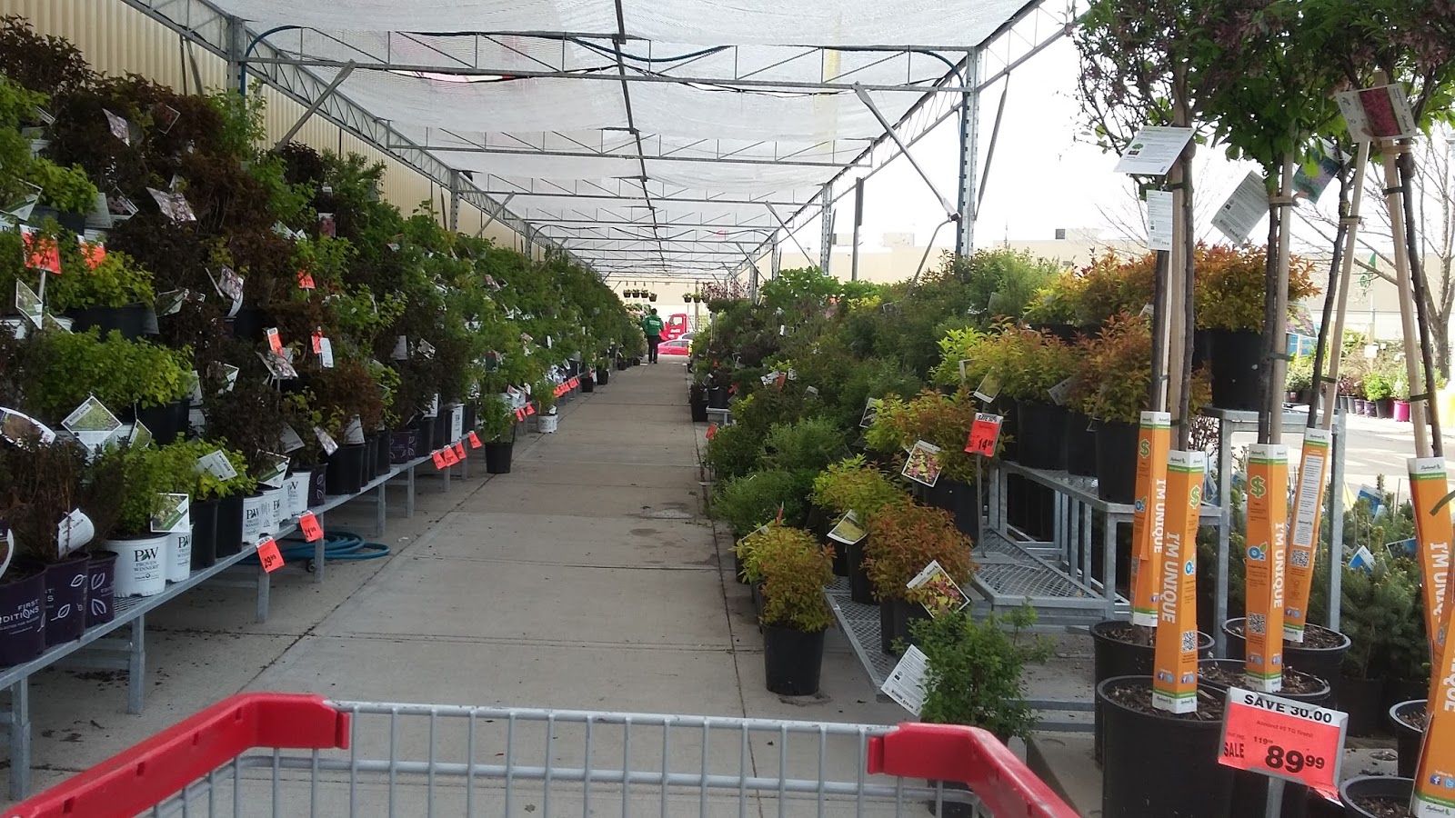 Cooking, Quilting, and Other Creature Comforts