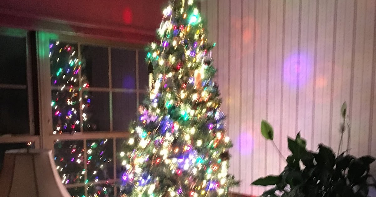 Heroes, Heroines, and History The History of the Christmas Tree