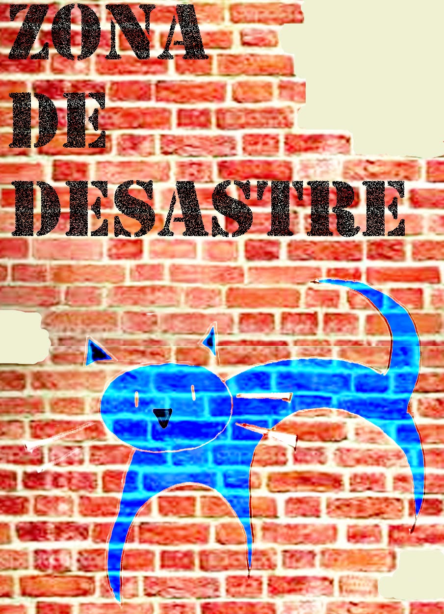 ZONA DE DESASTRE