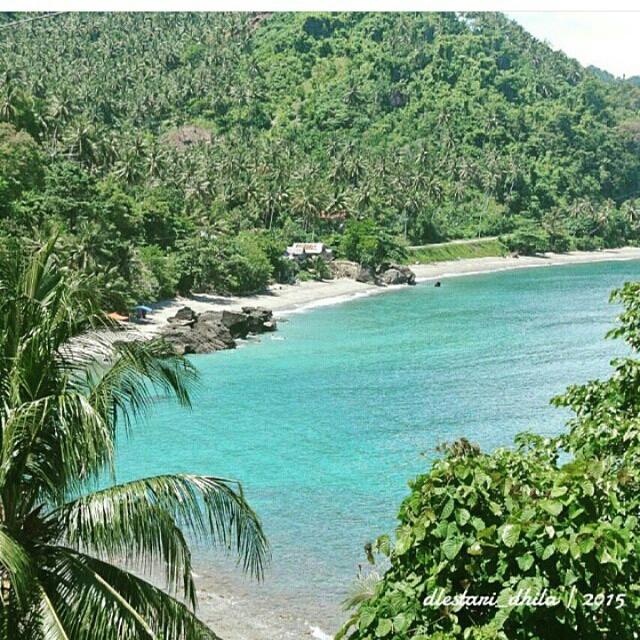 sumber instagram @Dlestari_dhila