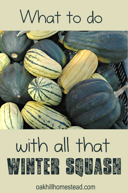 A roundup of ideas and recipes for winter squash.