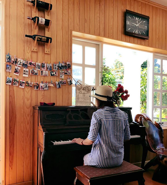 Thái Dương Limousine Bus