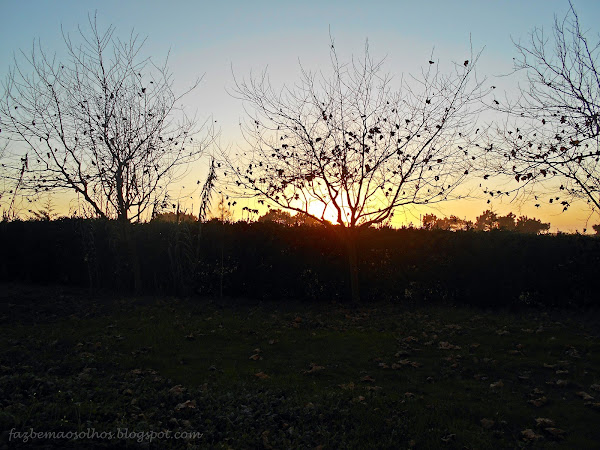 as ideias também precisam de ser arejadas...