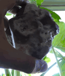 Figure Stones - Portable Rock Art Portable rock art, figure stones.