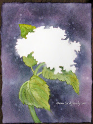 hydrangea watercolor paintings step painting