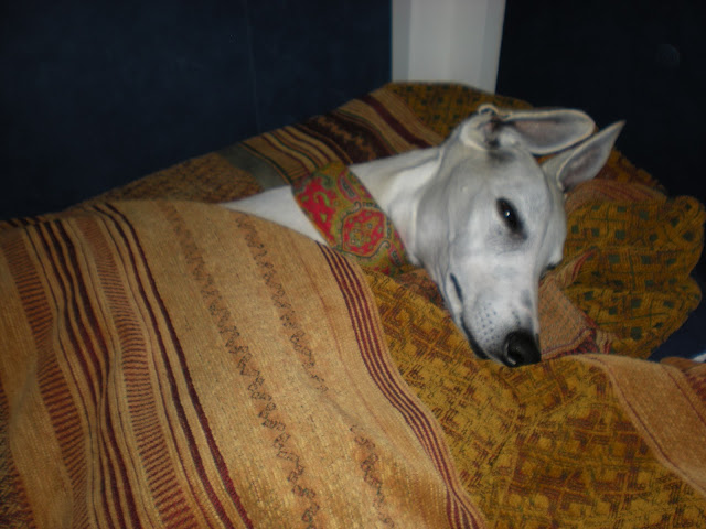 Milou Whippetsson: Underbar vistelse till Rosshyttan och Dala Husby.....