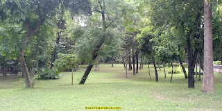 Green Park at Hauz Khash