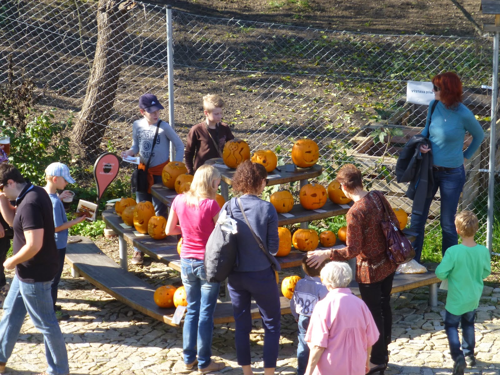Christopher's Expat Adventure Pumpkin Festival