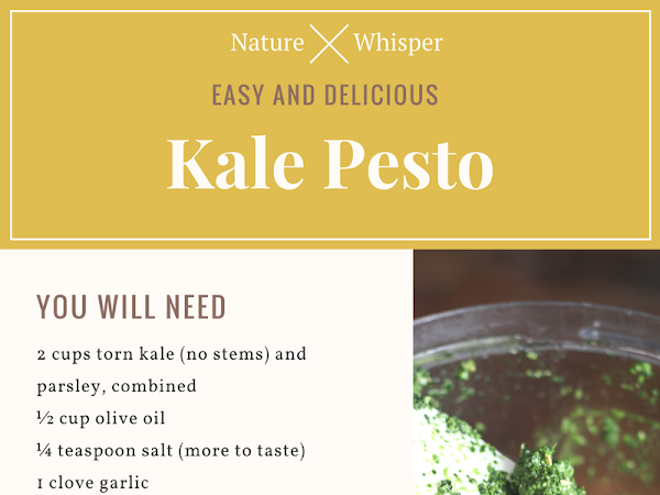 Kale Pesto Recipe 