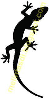 gambar: gambar cicak hitam putih
