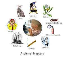 Causes-of-Asthma-In-Hindi