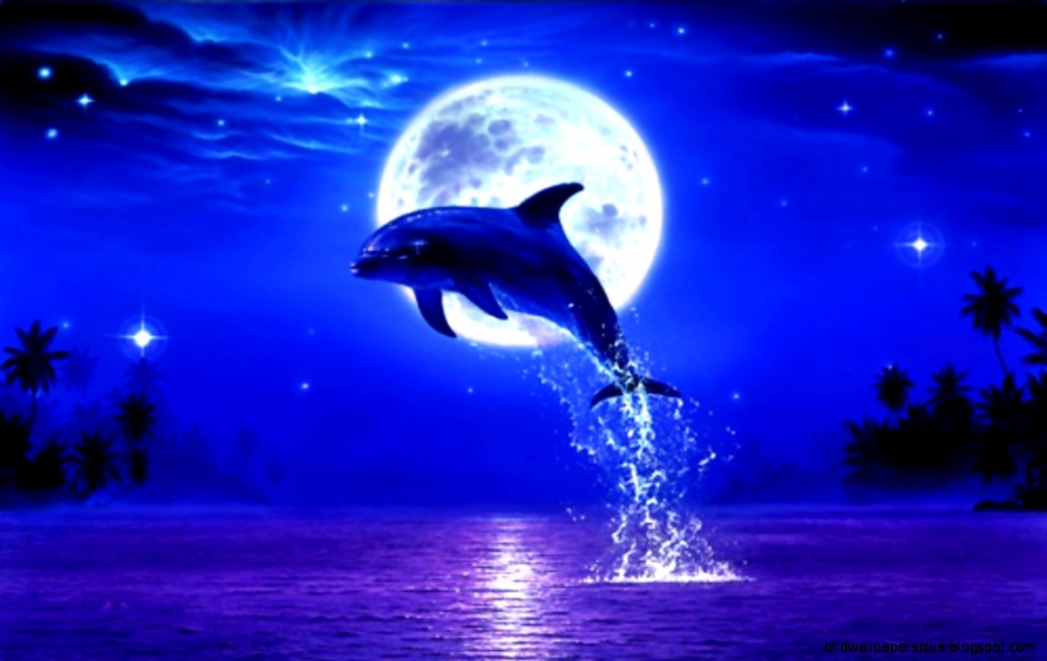 Blue Dolphin Desktop Wallpaper