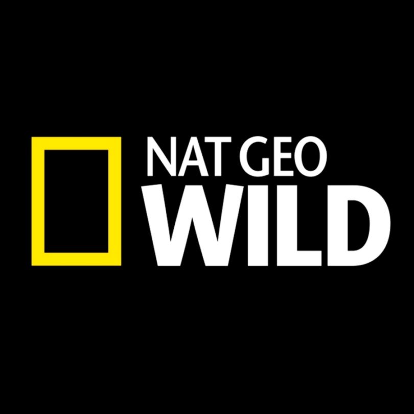 Hollywood Daily Star  Tag  NatGeoWild