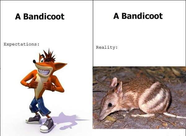Crash Bandicoot In Real Life - Expectations vs Reality