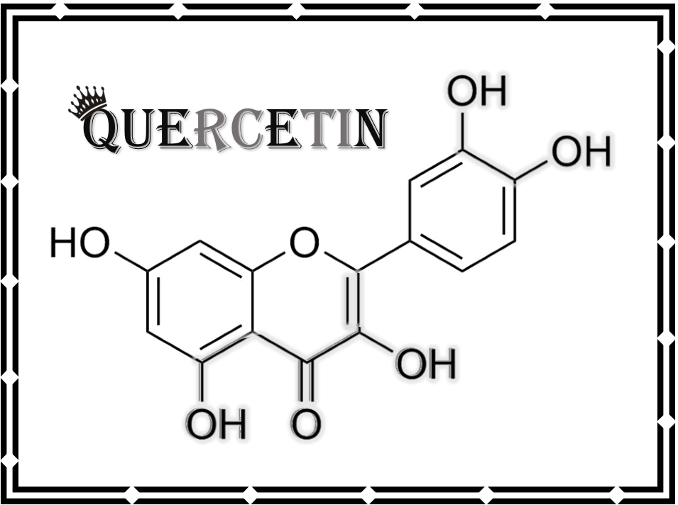 Quercetin...the Queen of Antioxidants!