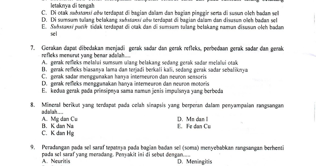 Soal Uas Biologi Kelas Xi Semester 2 Jawabanku.id
