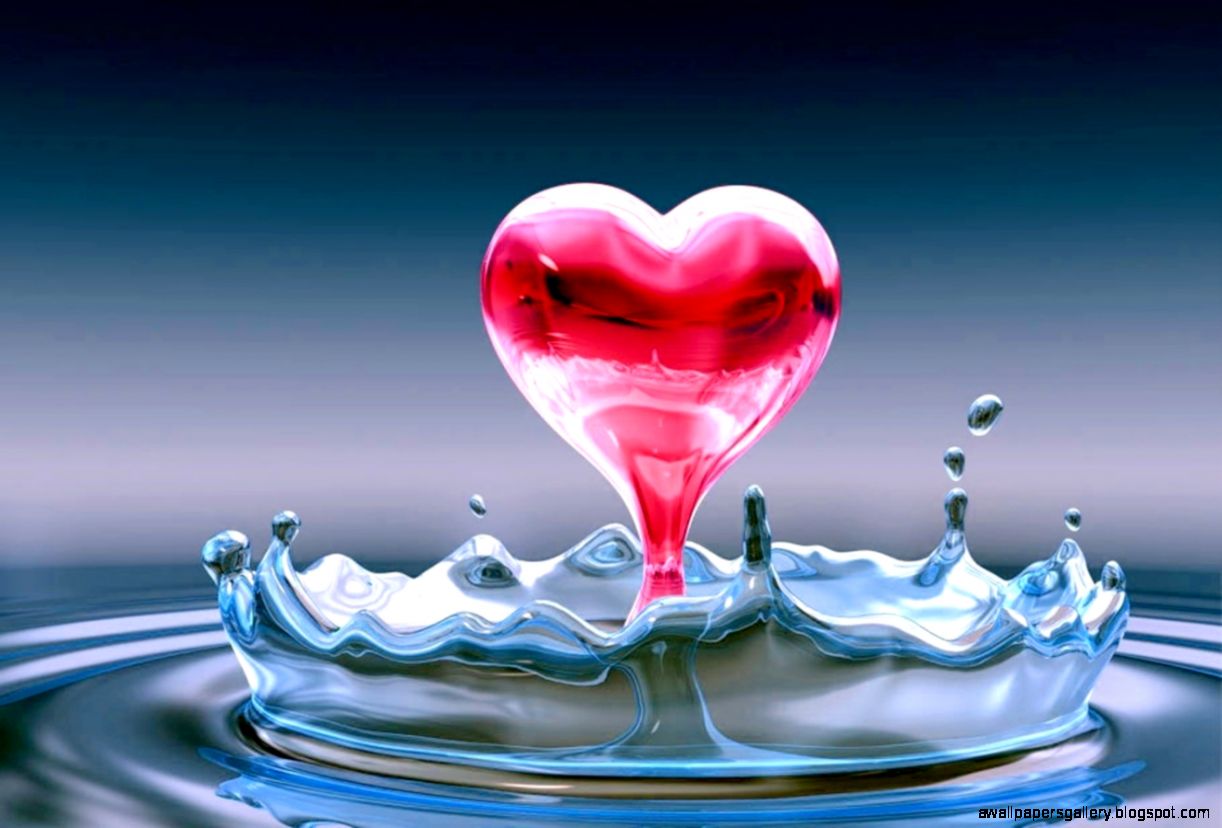 love animated wallpaper for mobile  Zellox