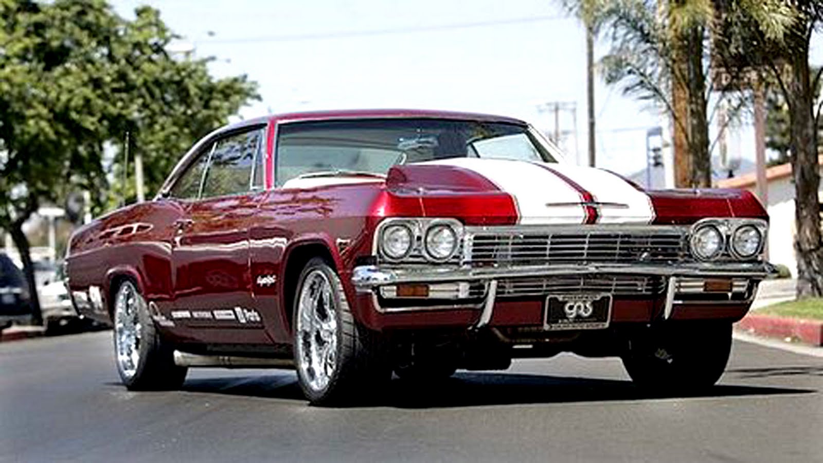 Arnold Tv Show Mtv Tuning 2004